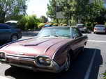 Thunderbird 